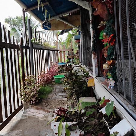 Hostal Cafe Axel Bocas del Toro Exteriör bild